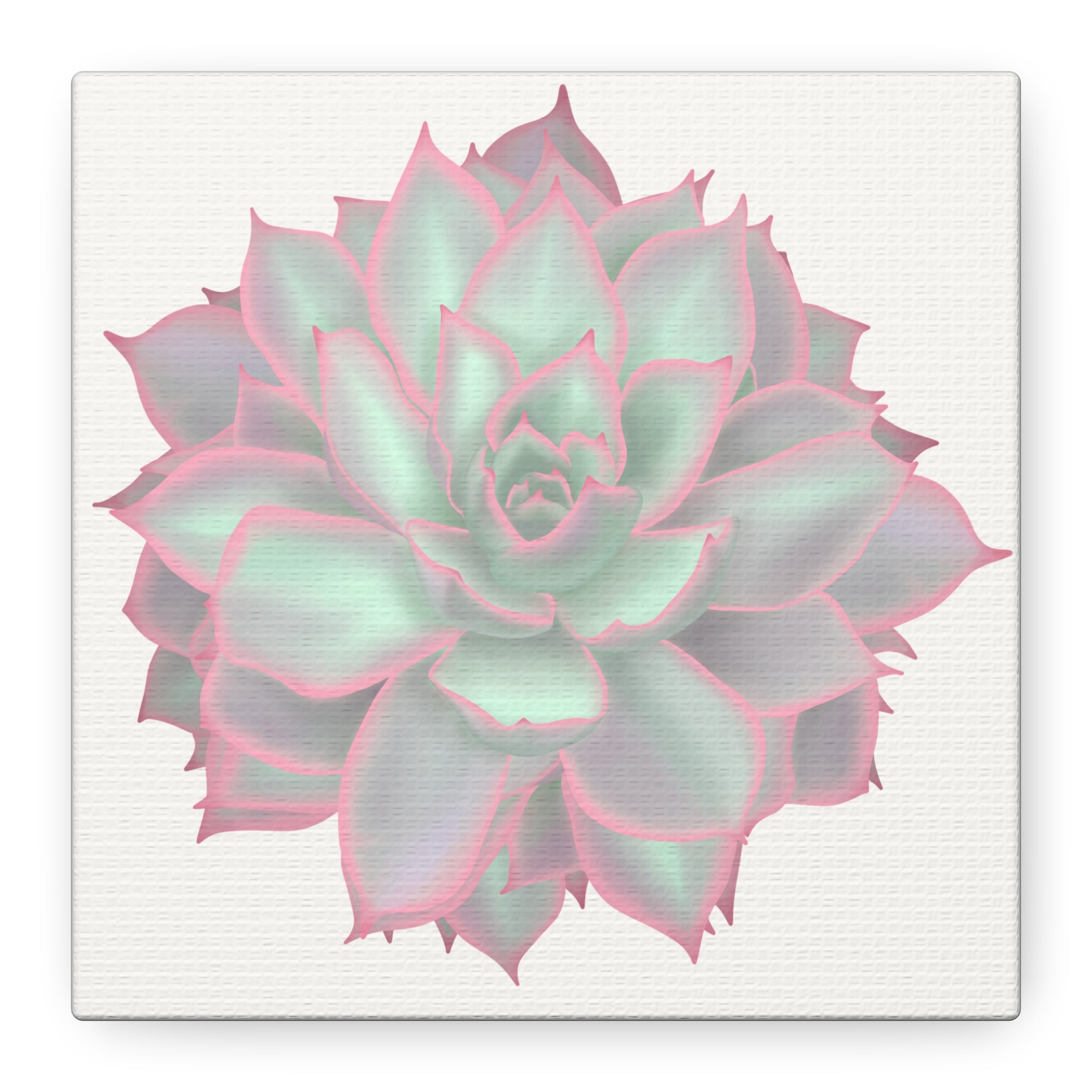 Echeveria Violet Queen Succulent Canvas Print – Botanical Wall Art - Poppy Natural