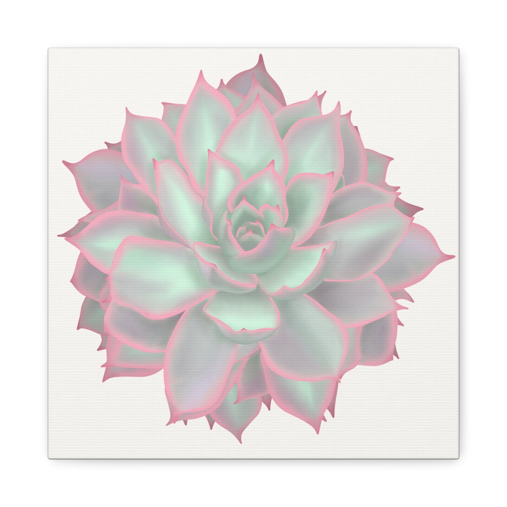 Echeveria Violet Queen Succulent Canvas Print – Botanical Wall Art - Poppy Natural