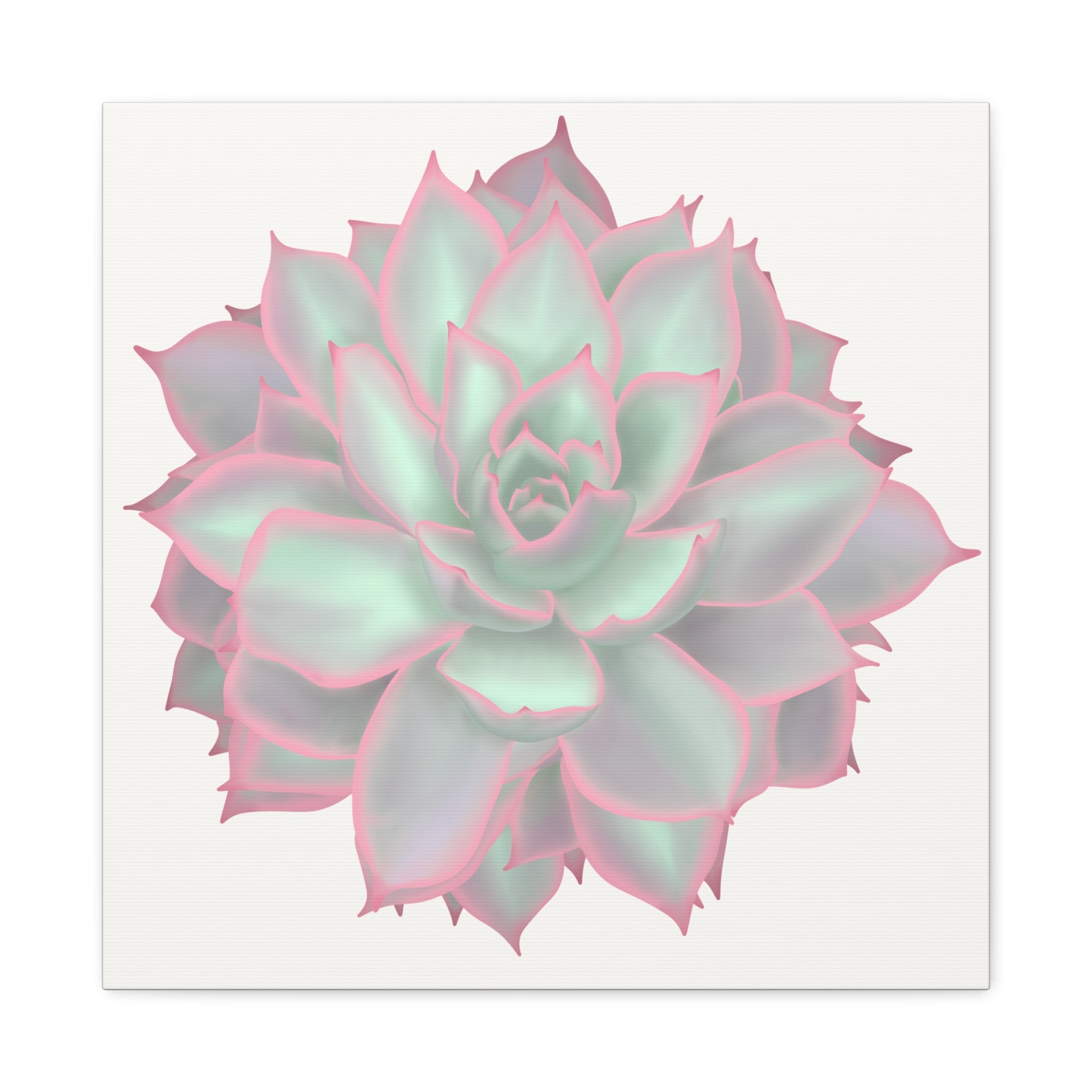 Echeveria Violet Queen Succulent Canvas Print – Botanical Wall Art - Poppy Natural