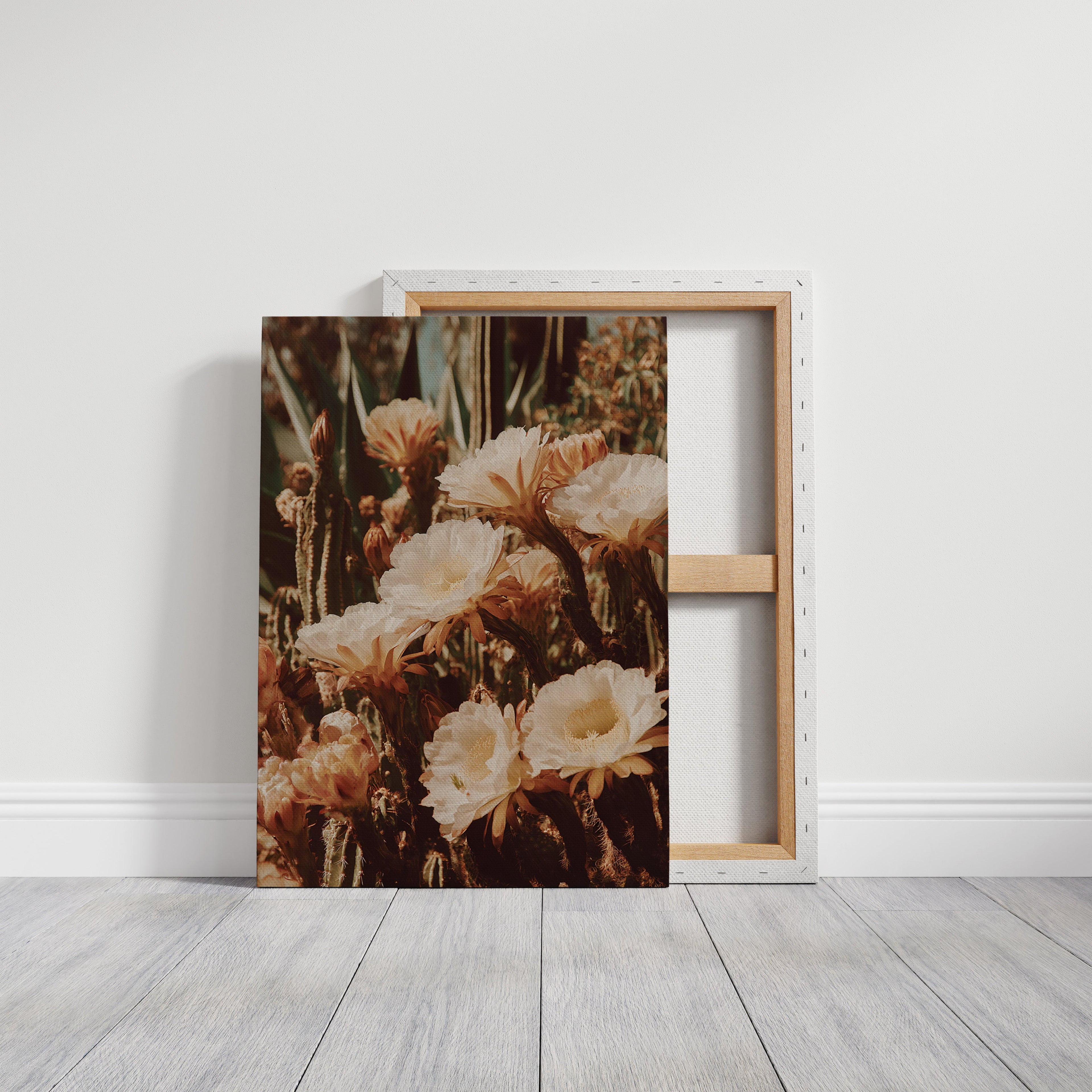 Eloquent Blooms Beneath the Sun - Poppy Natural