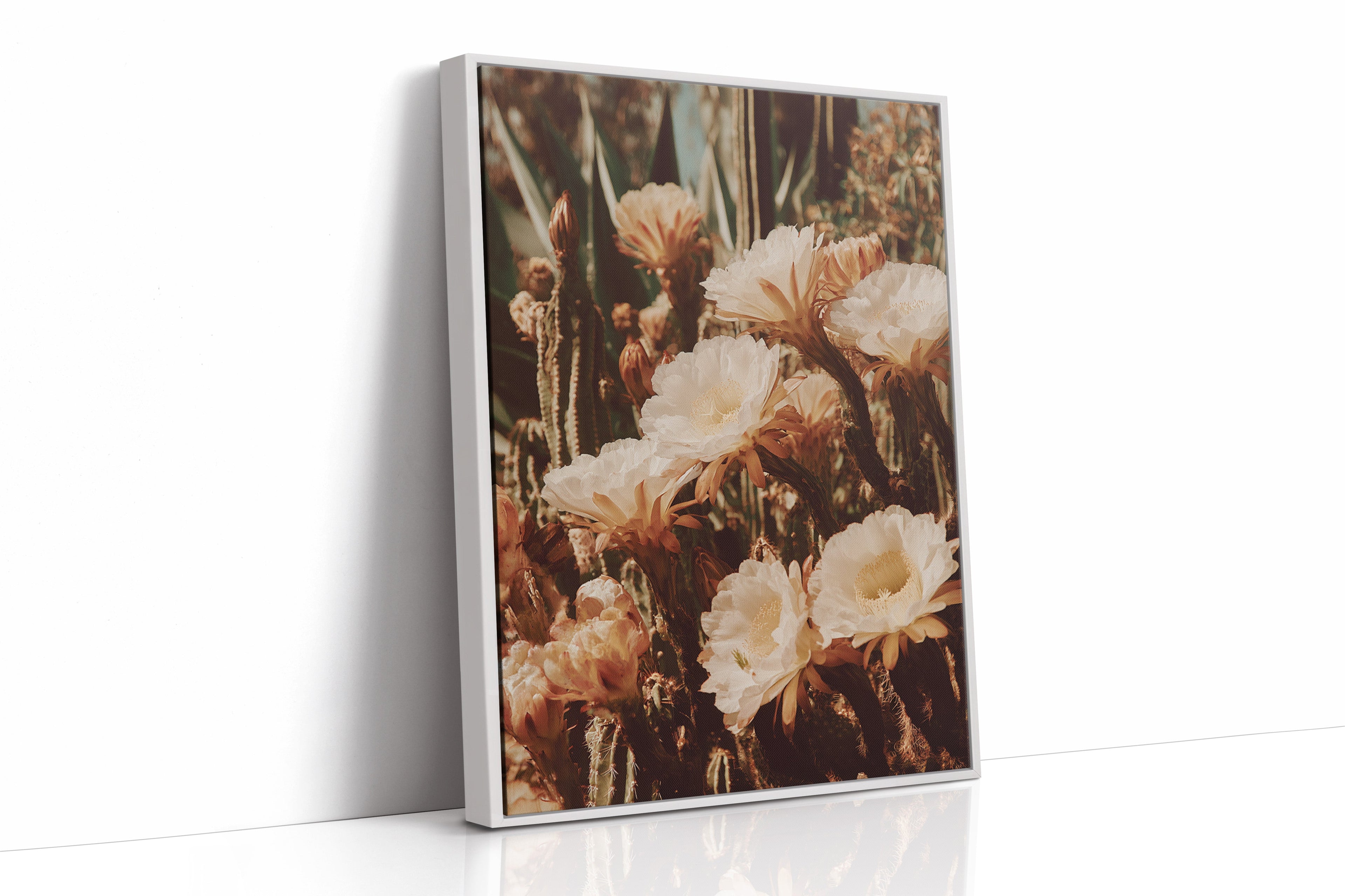 Eloquent Blooms Beneath the Sun - Poppy Natural