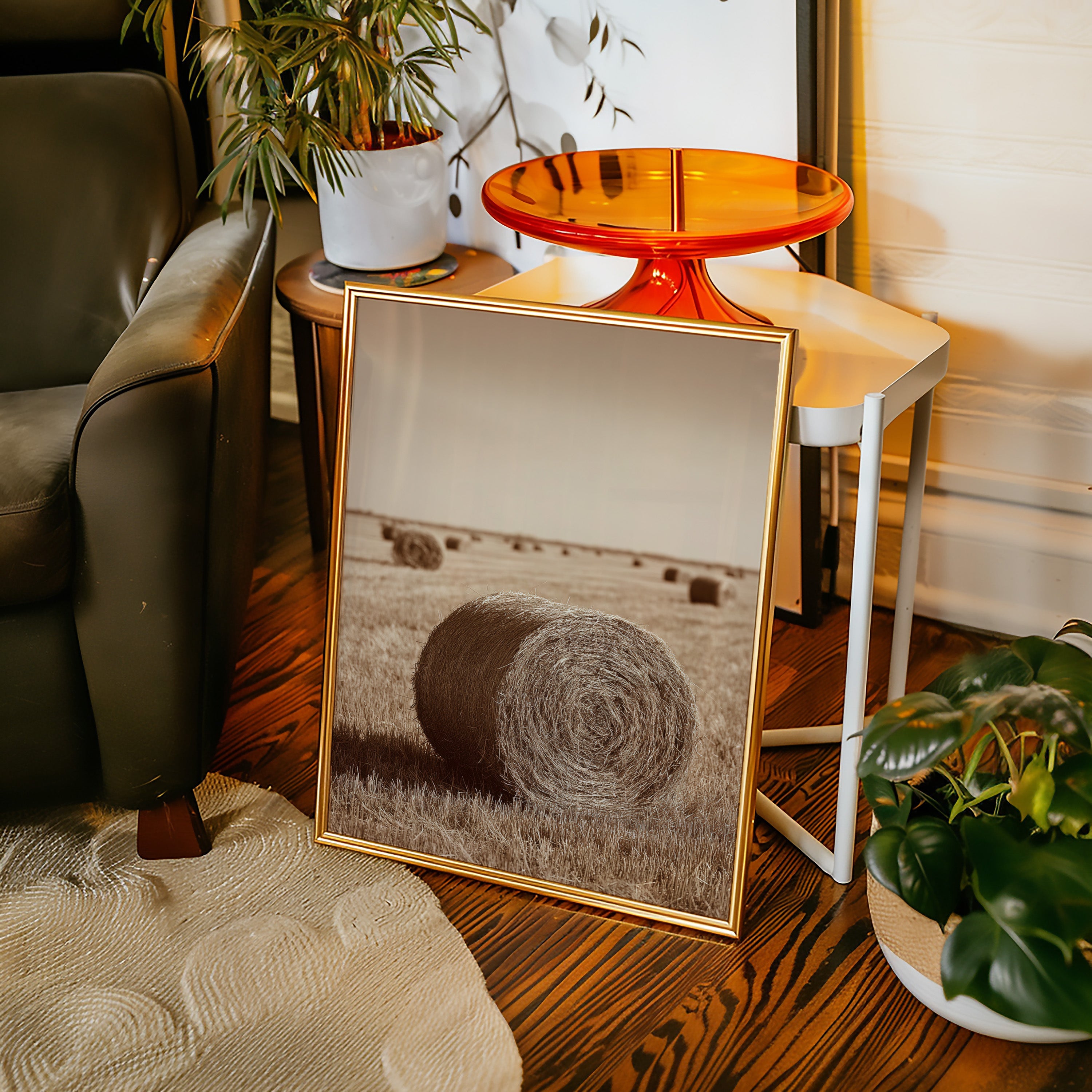 Harvested Echoes of Autumn - Poppy Natural