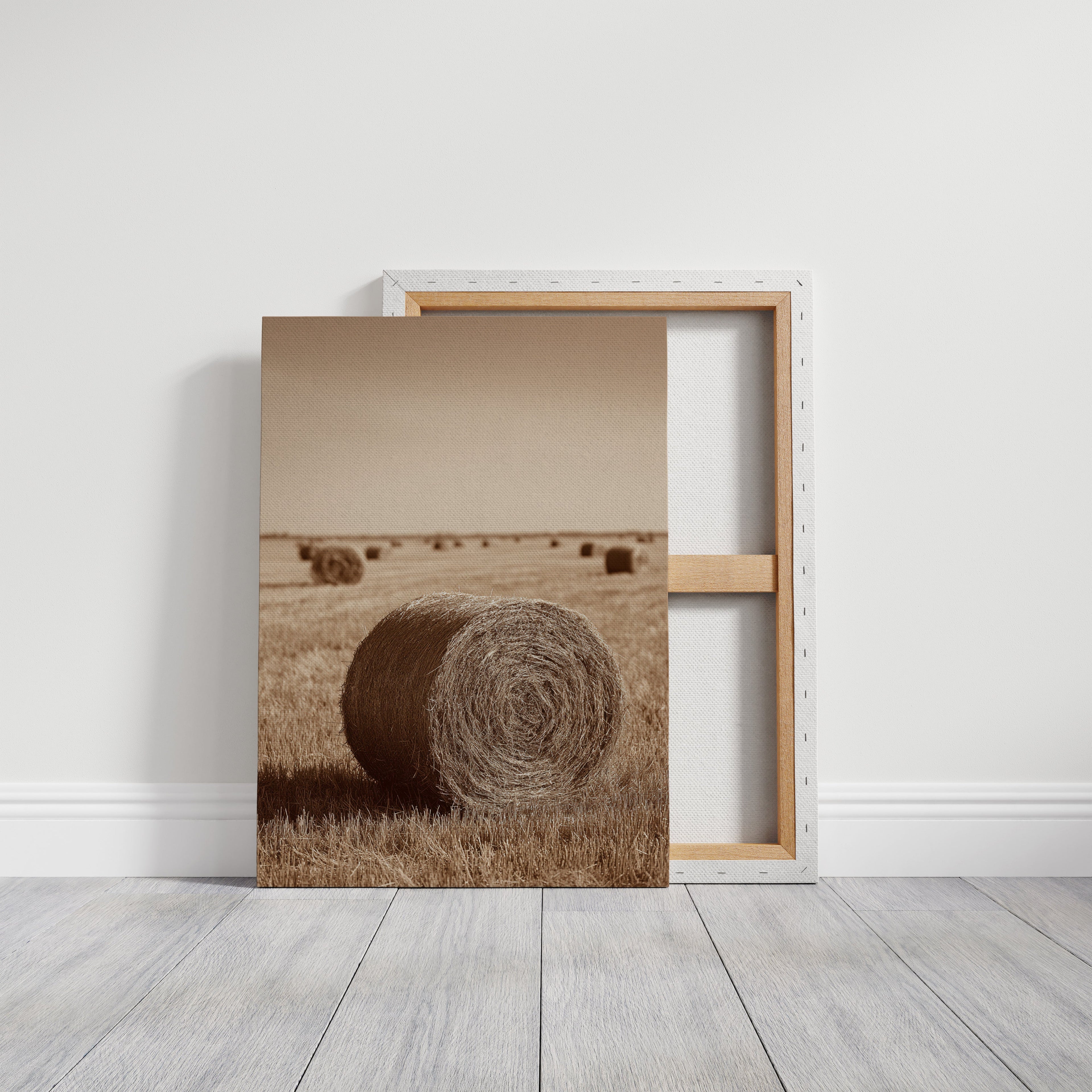 Harvested Echoes of Autumn - Poppy Natural