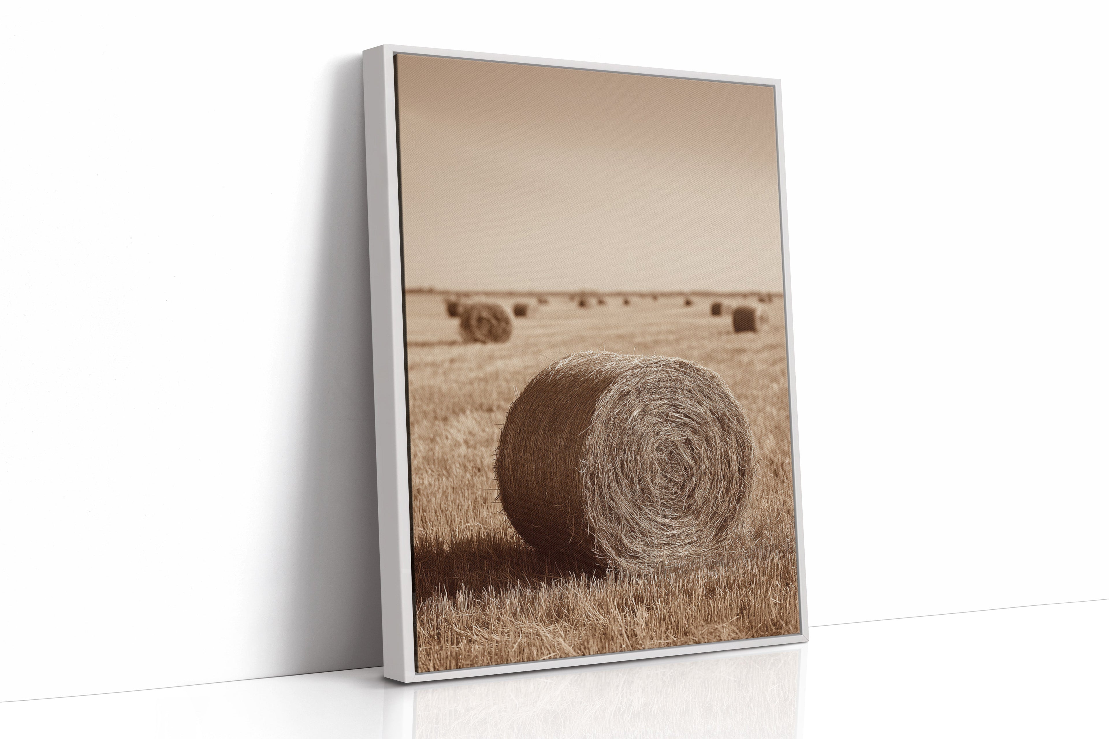 Harvested Echoes of Autumn - Poppy Natural