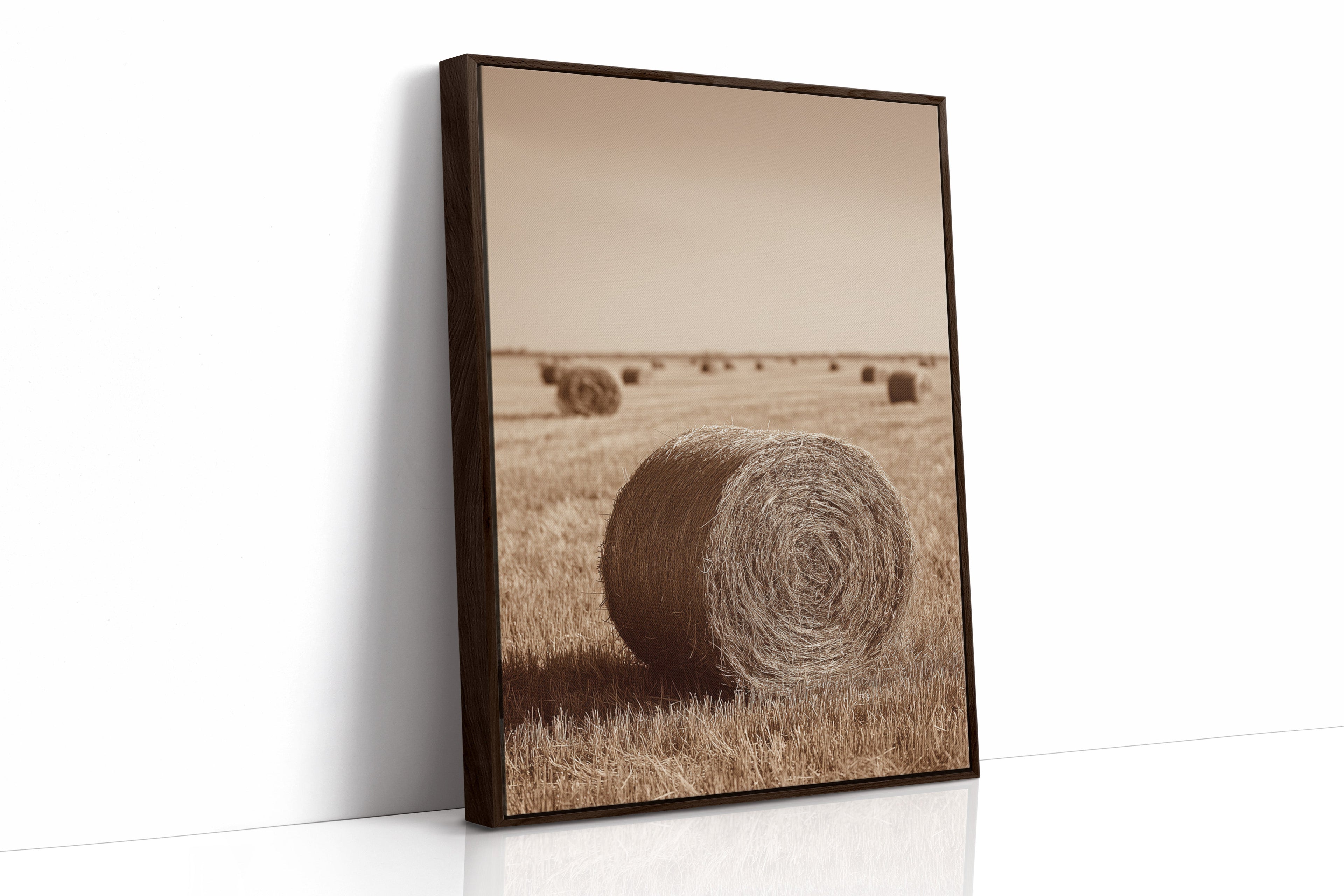 Harvested Echoes of Autumn - Poppy Natural