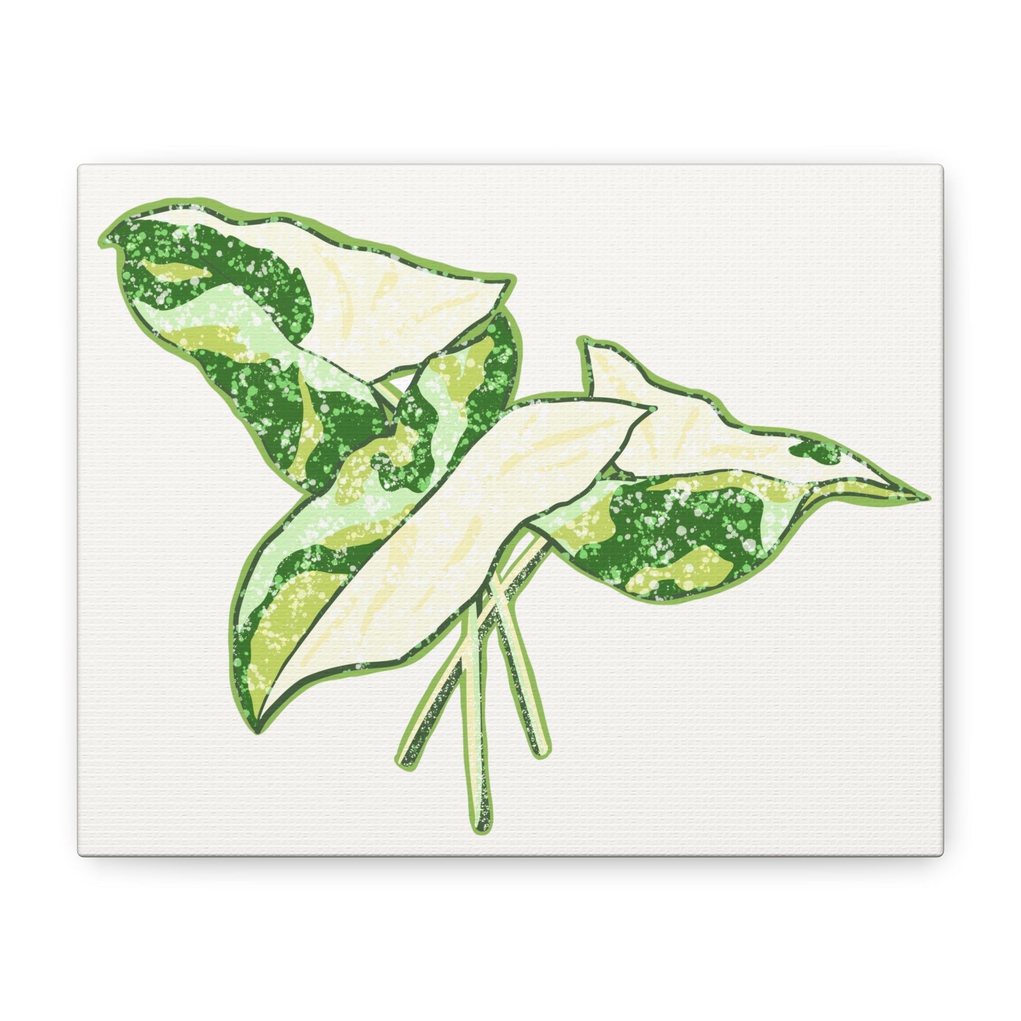 Marble Syngonium Canvas Print – Botanical Wall Art - Poppy Natural