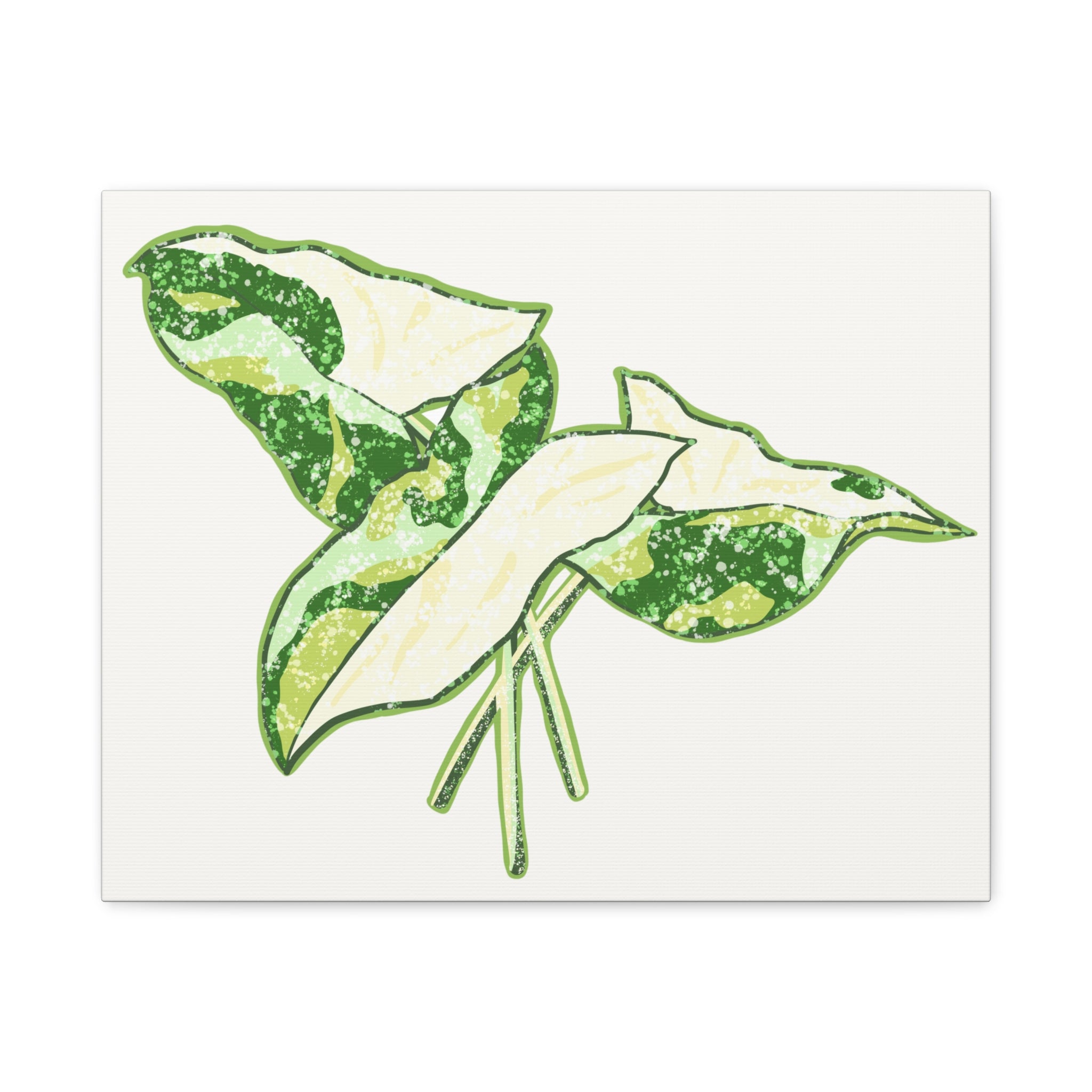 Marble Syngonium Canvas Print – Botanical Wall Art - Poppy Natural