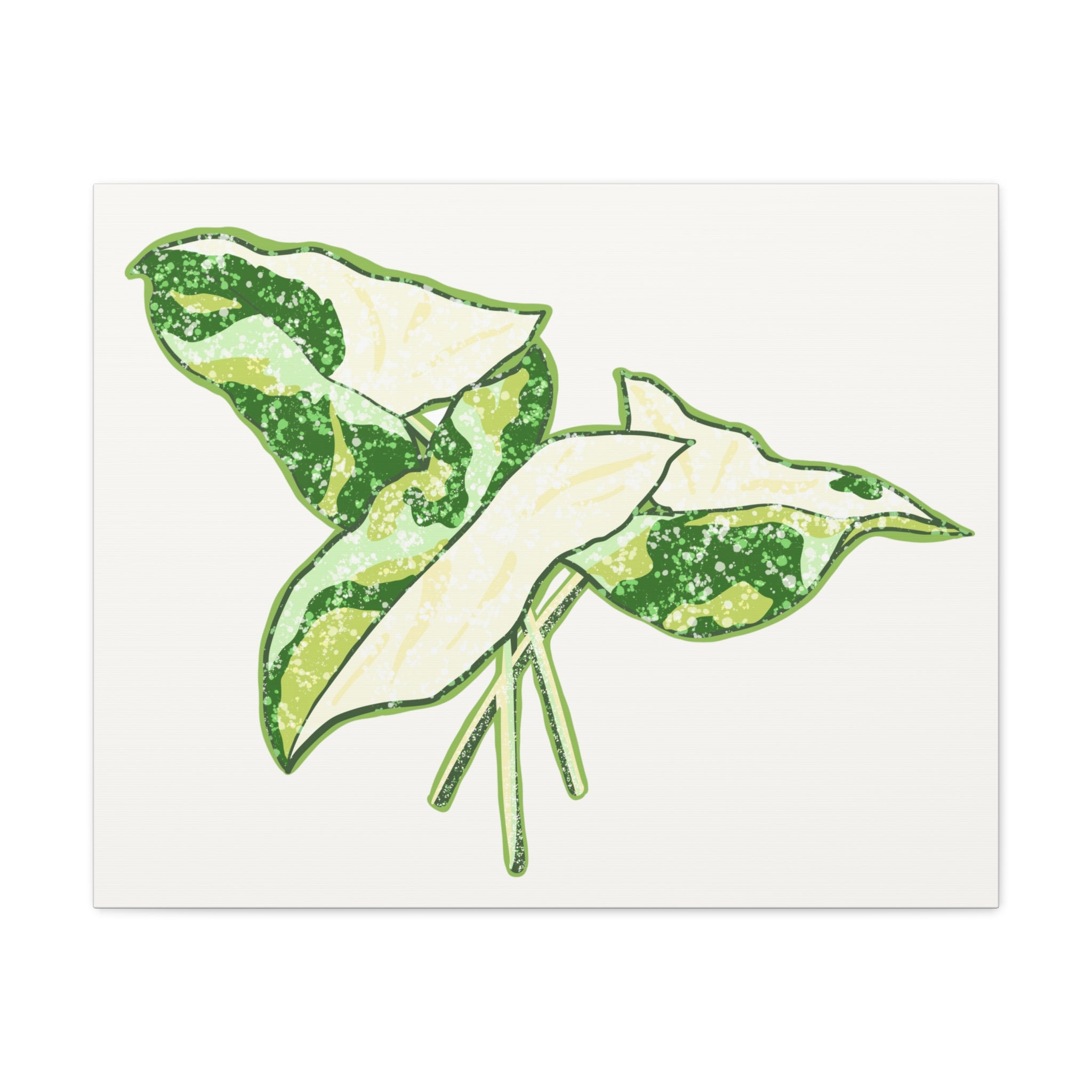 Marble Syngonium Canvas Print – Botanical Wall Art - Poppy Natural