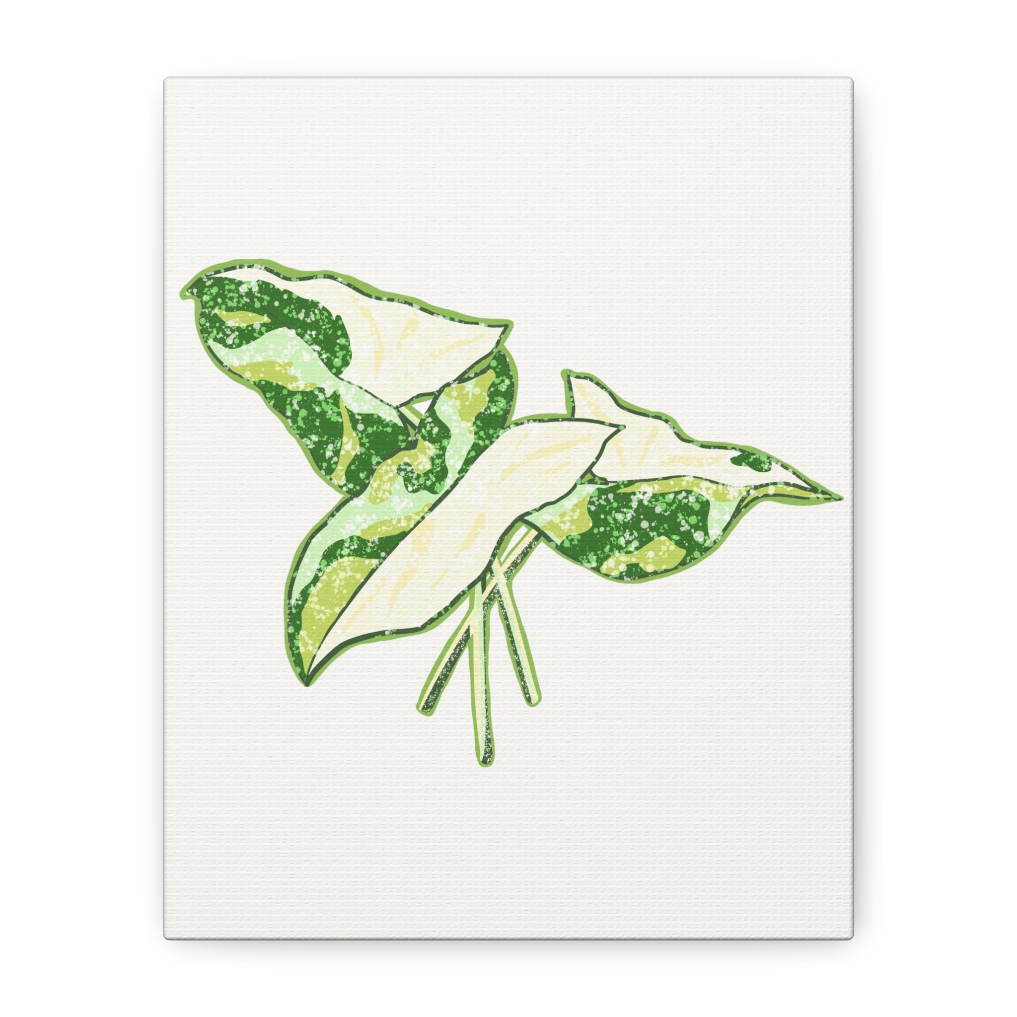 Marble Syngonium Canvas Print – Botanical Wall Art - Poppy Natural