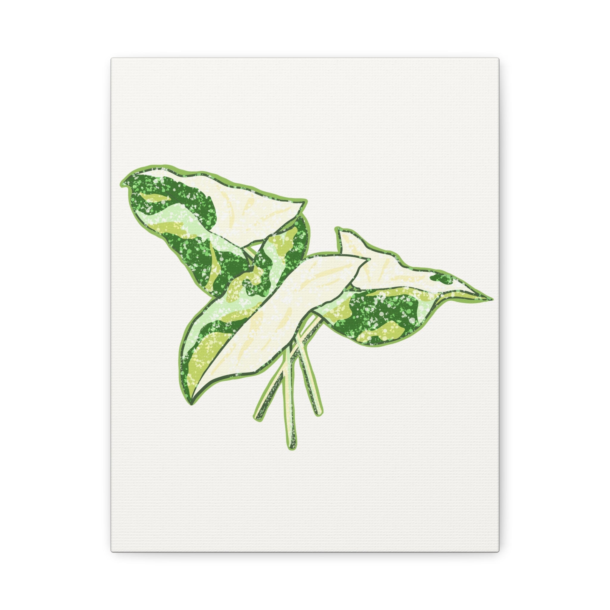 Marble Syngonium Canvas Print – Botanical Wall Art - Poppy Natural