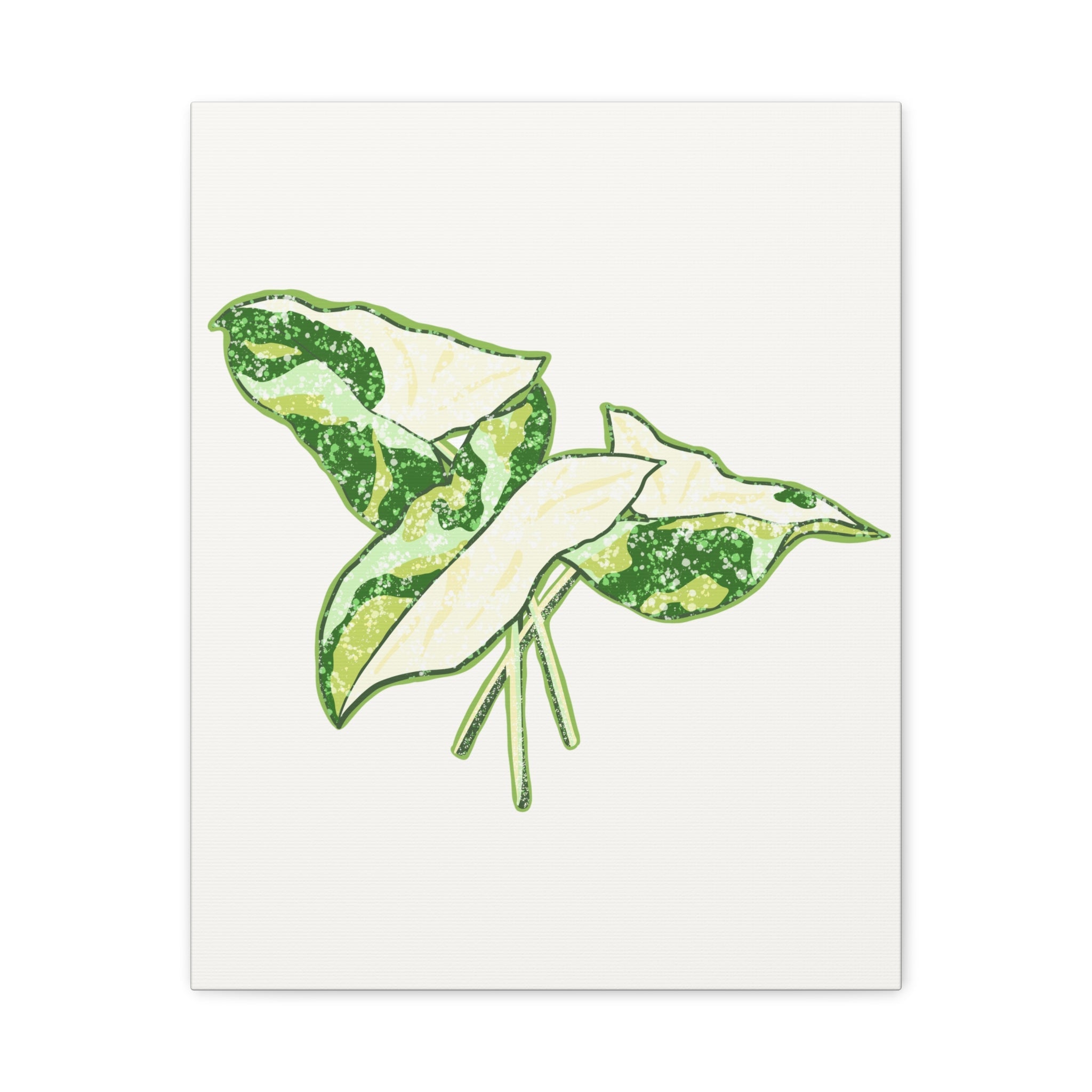 Marble Syngonium Canvas Print – Botanical Wall Art - Poppy Natural