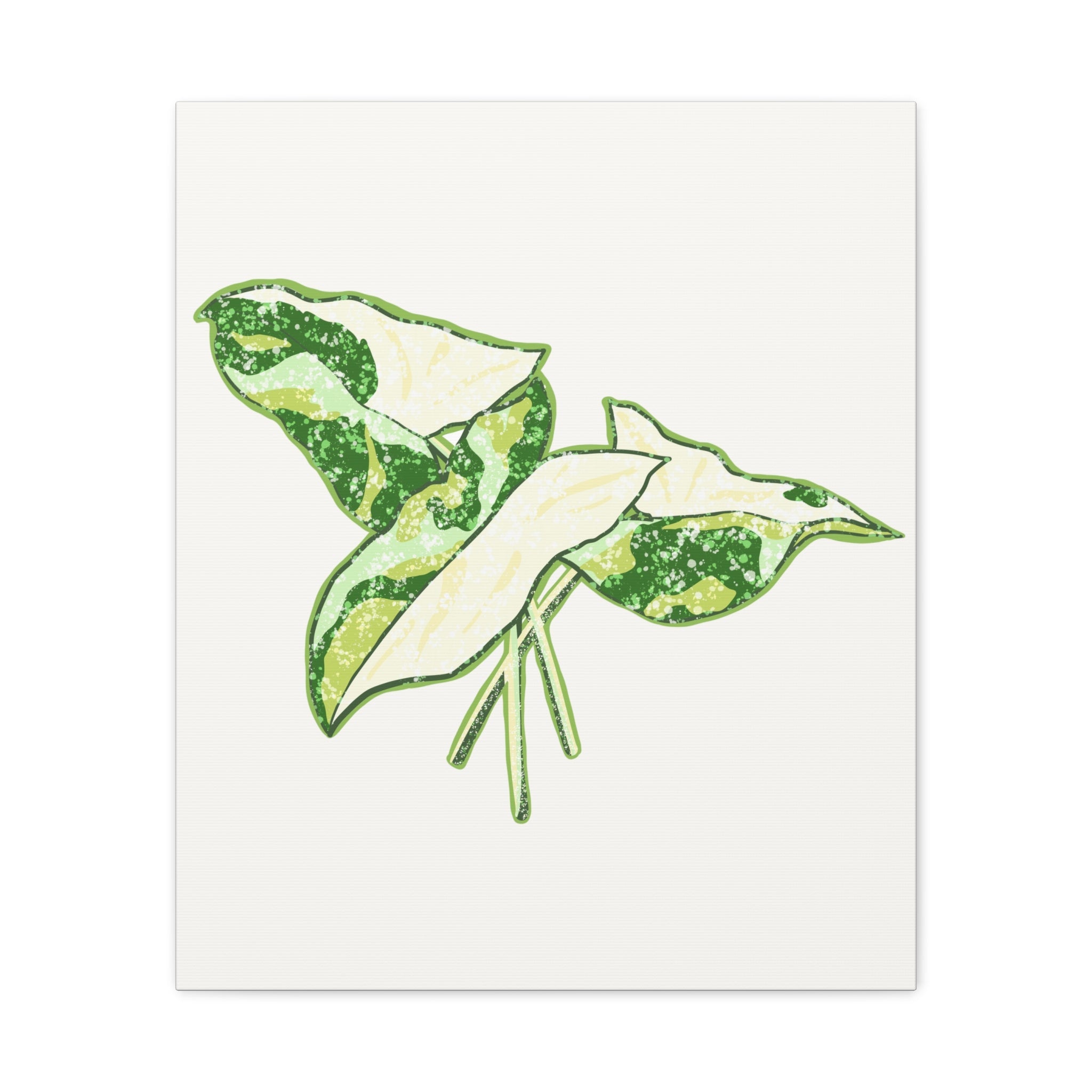 Marble Syngonium Canvas Print – Botanical Wall Art - Poppy Natural