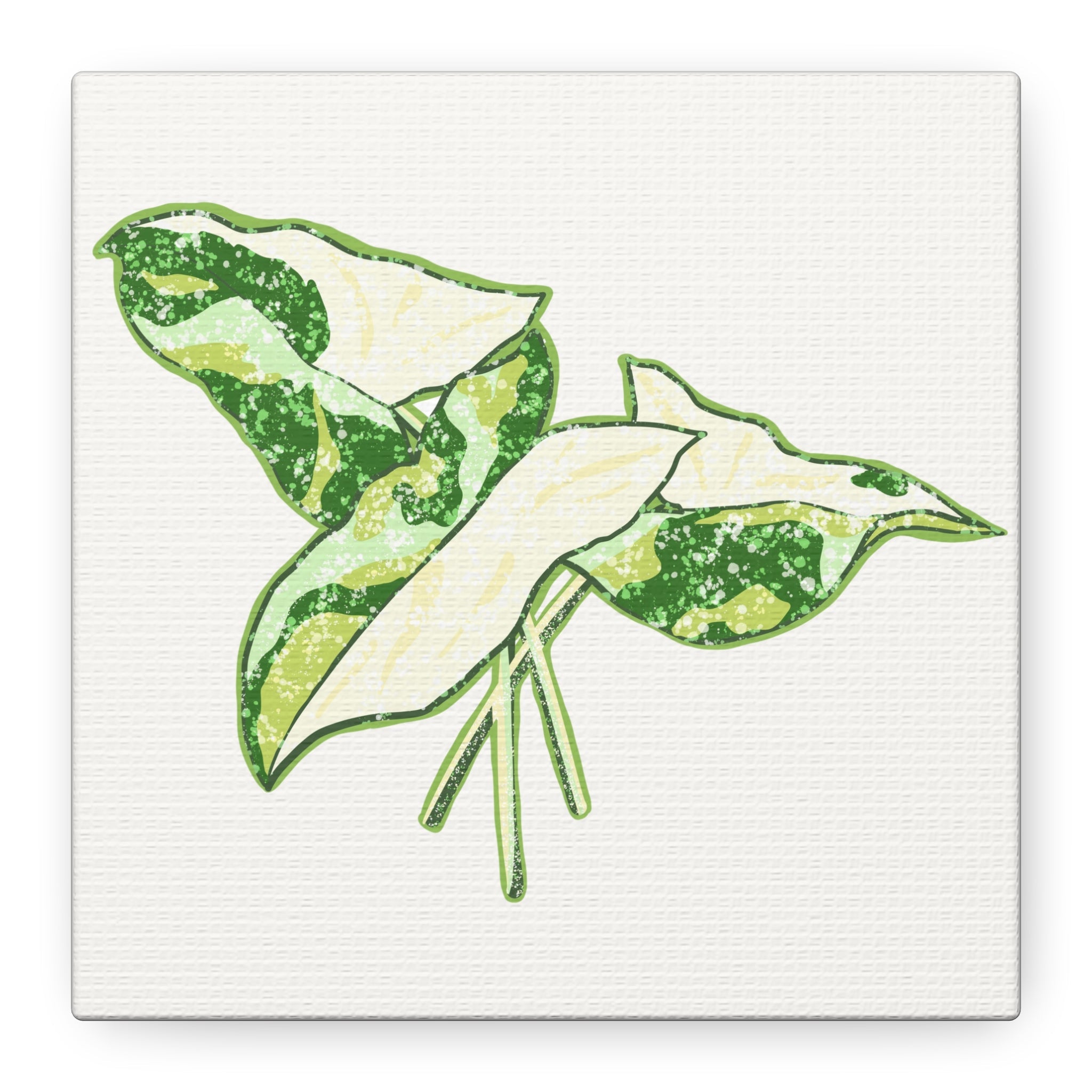 Marble Syngonium Canvas Print – Botanical Wall Art - Poppy Natural