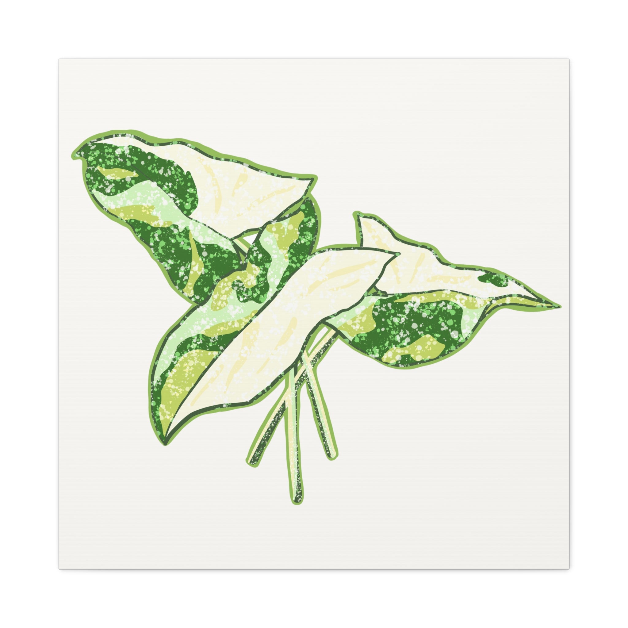 Marble Syngonium Canvas Print – Botanical Wall Art - Poppy Natural