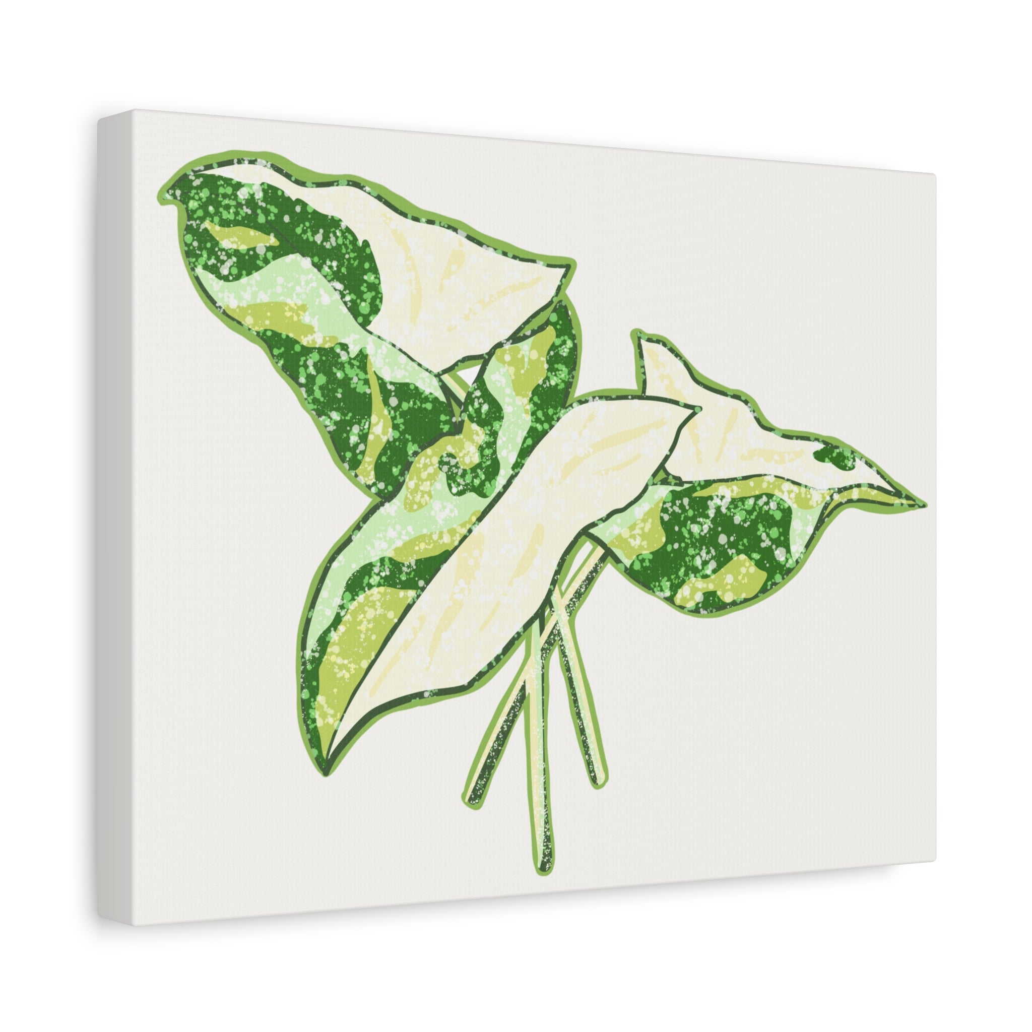 Marble Syngonium Canvas Print – Botanical Wall Art - Poppy Natural