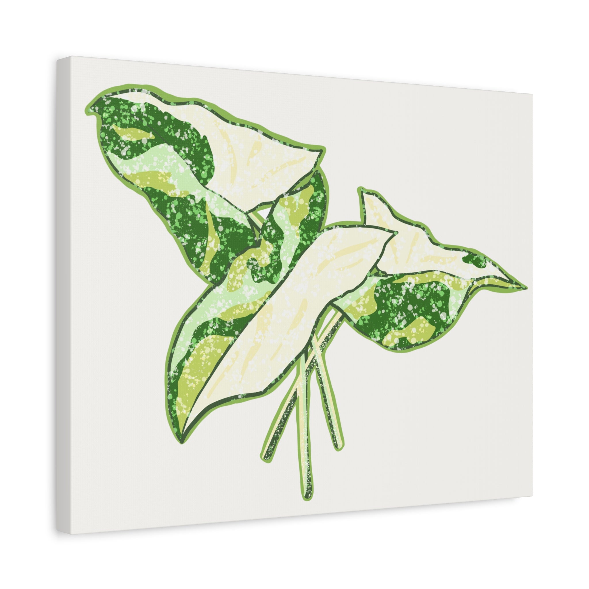 Marble Syngonium Canvas Print – Botanical Wall Art - Poppy Natural