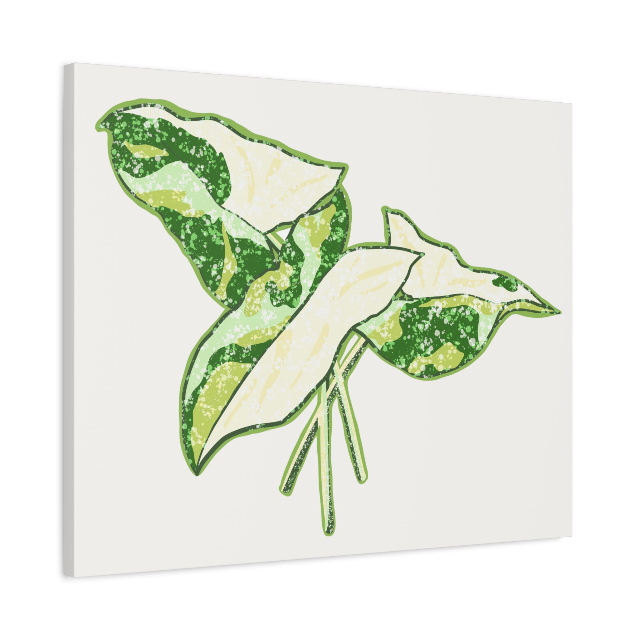 Marble Syngonium Canvas Print – Botanical Wall Art - Poppy Natural