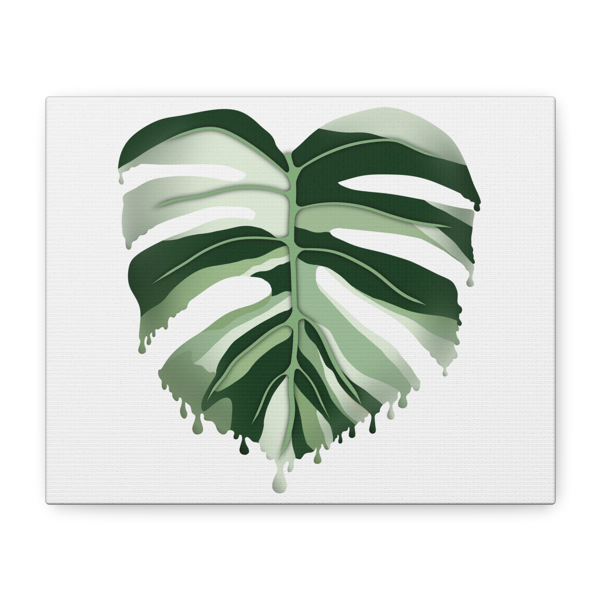 Melting Monstera Albo Canvas Print – Botanical Wall Art - Poppy Natural