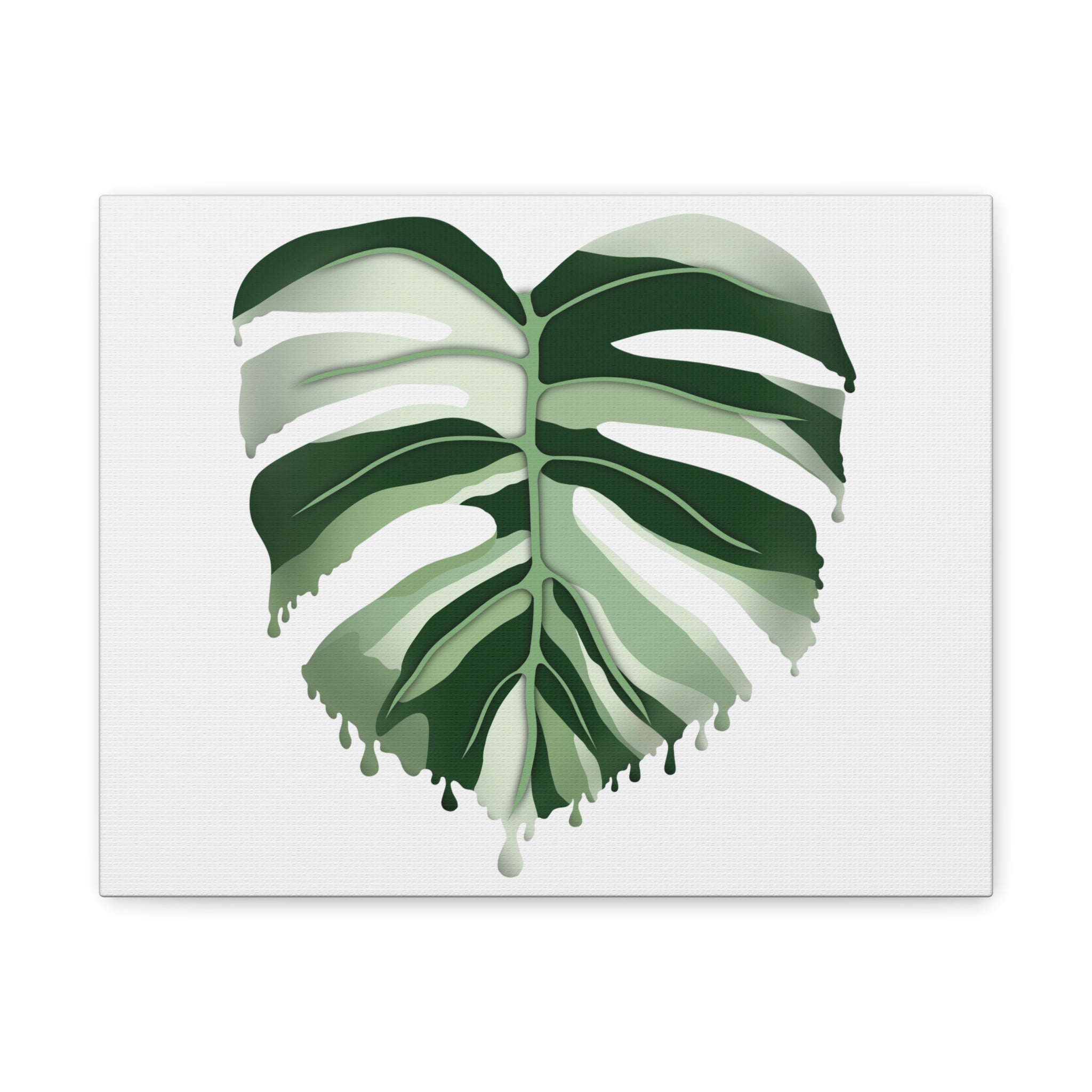 Melting Monstera Albo Canvas Print – Botanical Wall Art - Poppy Natural