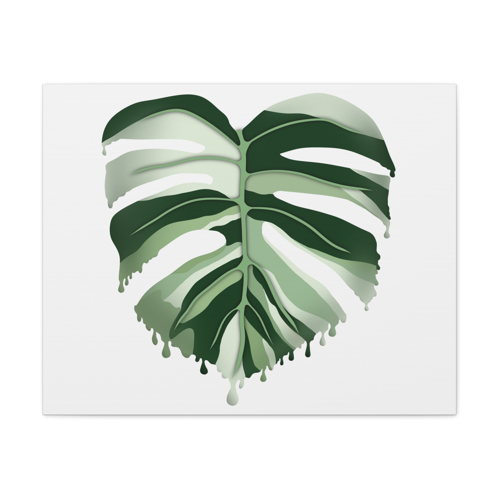 Melting Monstera Albo Canvas Print – Botanical Wall Art - Poppy Natural