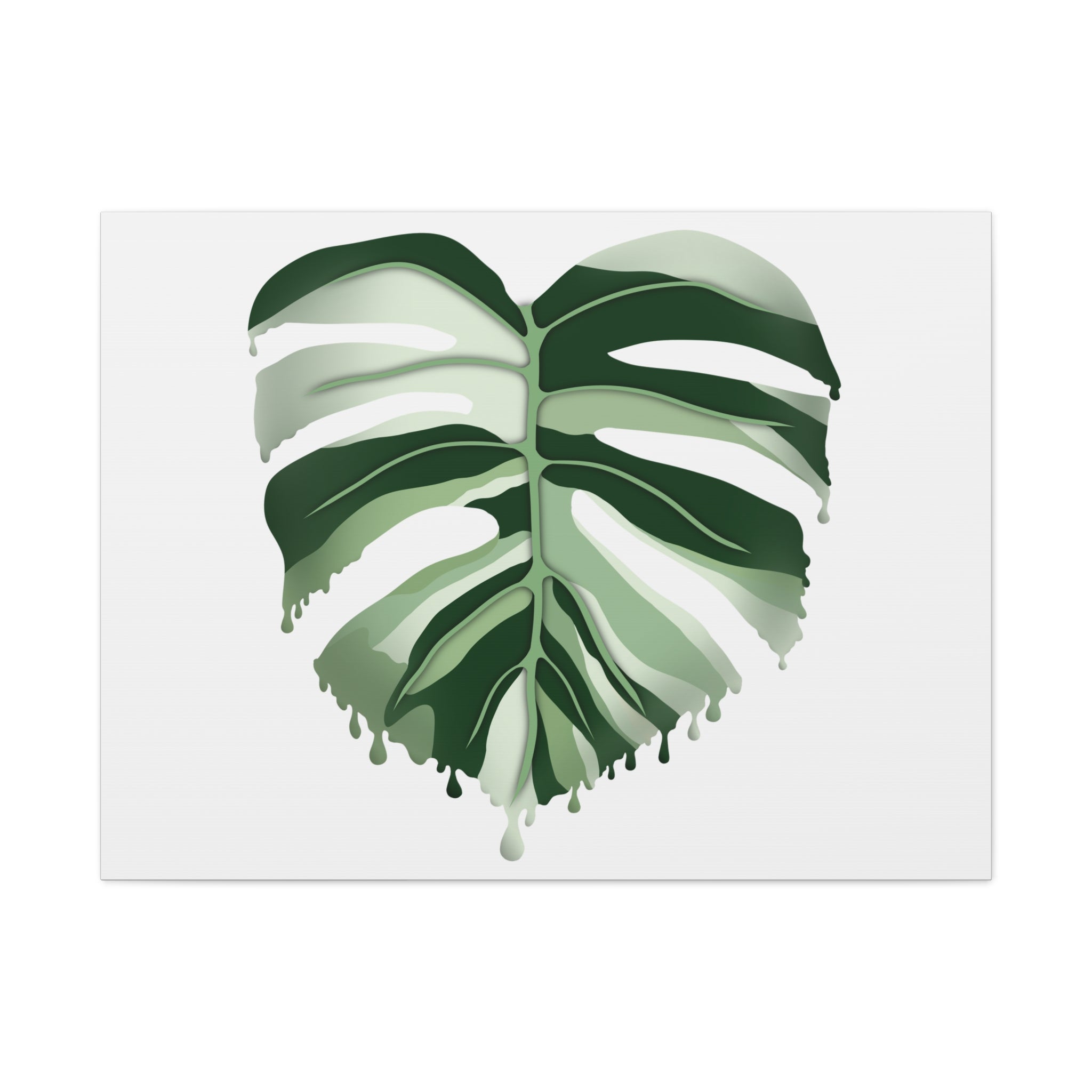 Melting Monstera Albo Canvas Print – Botanical Wall Art - Poppy Natural