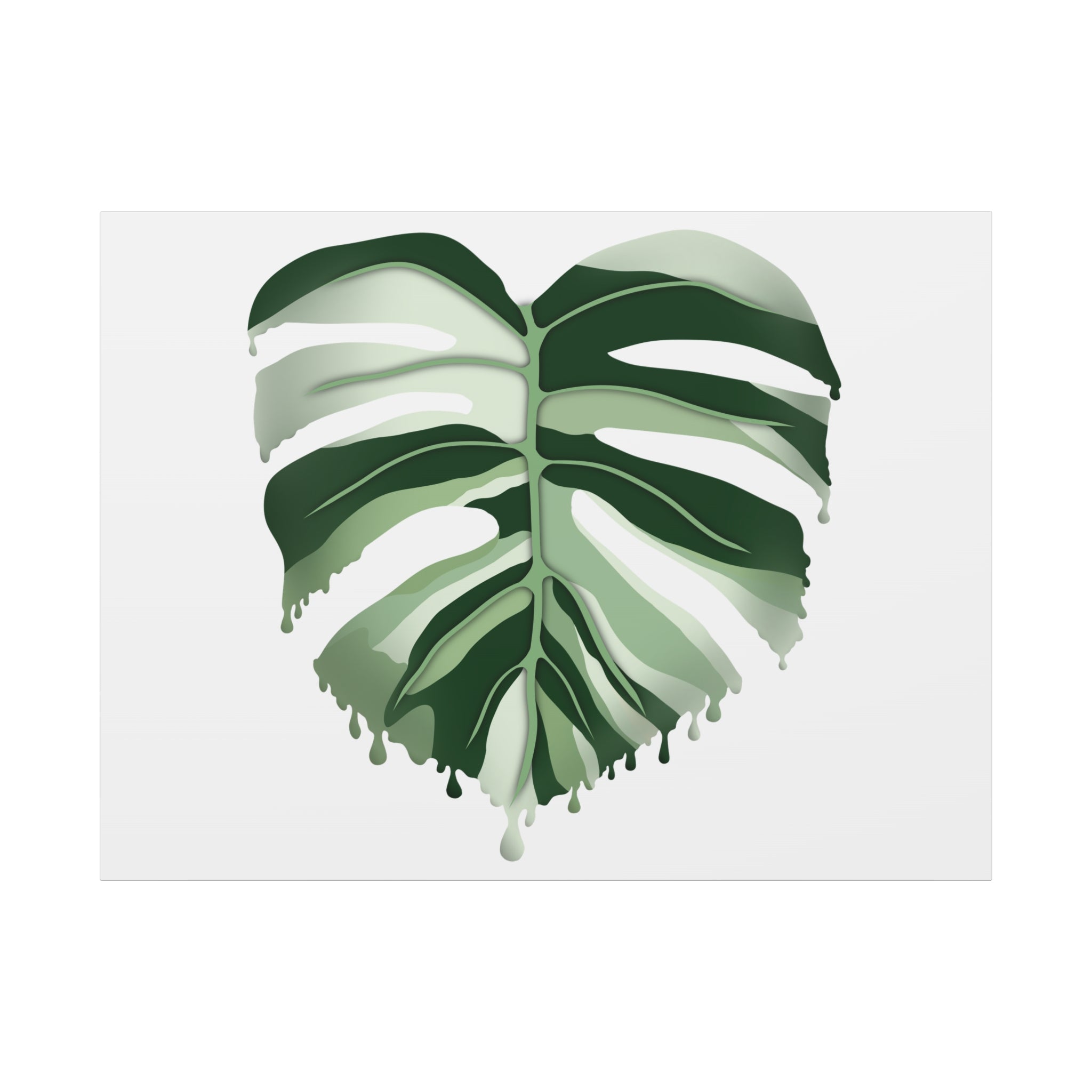 Melting Monstera Albo Canvas Print – Botanical Wall Art - Poppy Natural