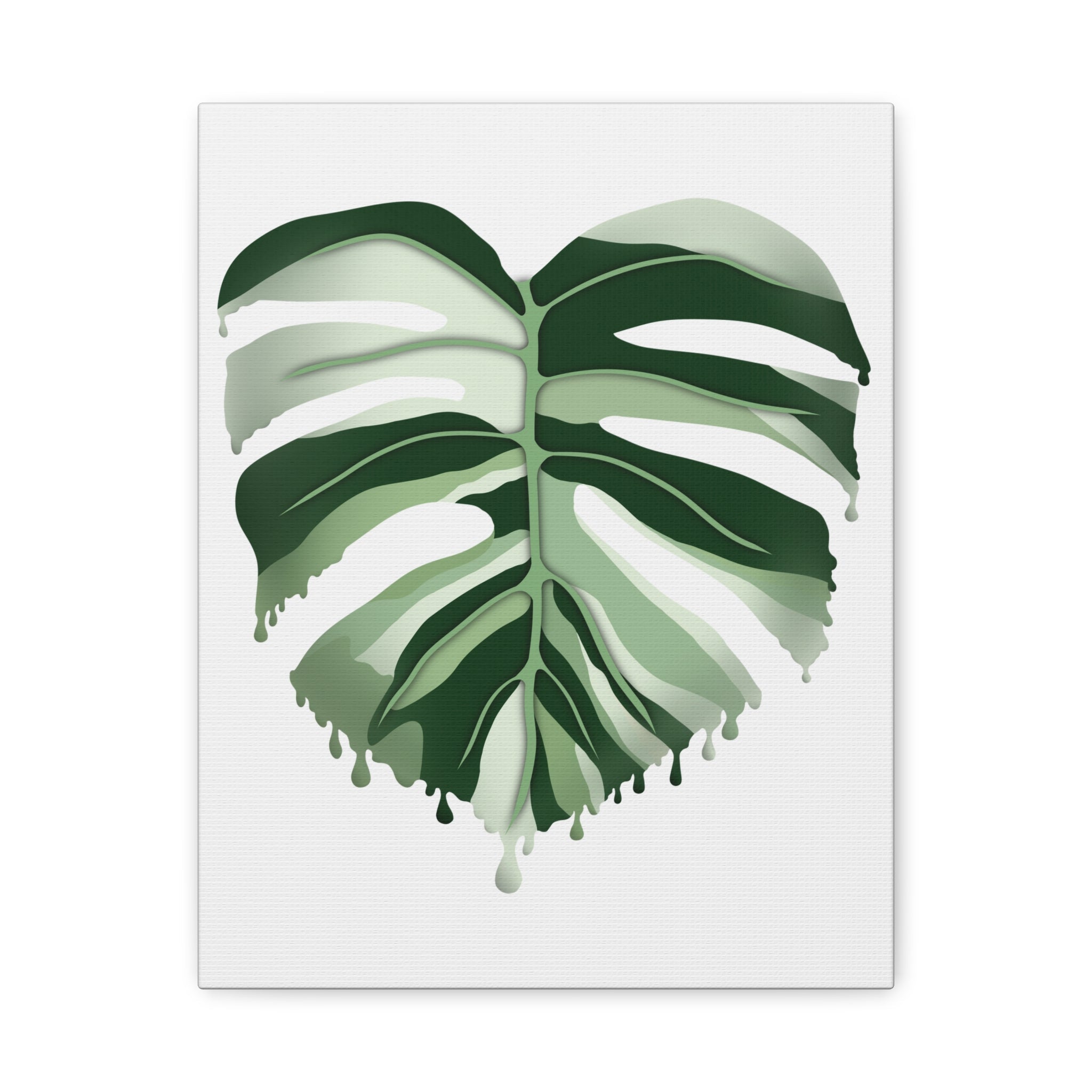 Melting Monstera Albo Canvas Print – Botanical Wall Art - Poppy Natural