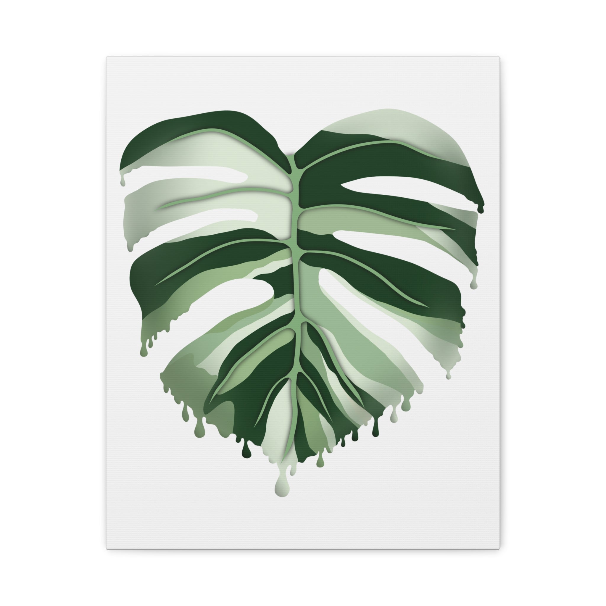 Melting Monstera Albo Canvas Print – Botanical Wall Art - Poppy Natural
