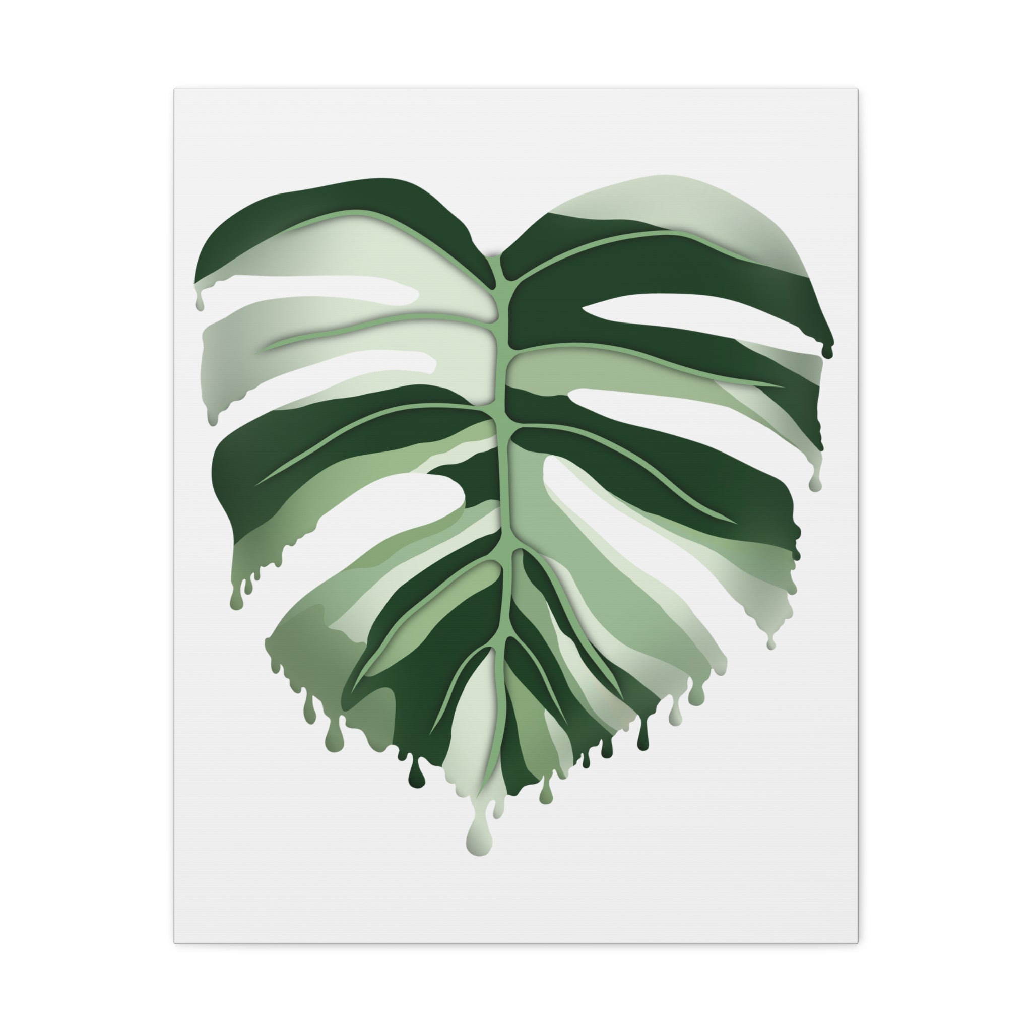 Melting Monstera Albo Canvas Print – Botanical Wall Art - Poppy Natural