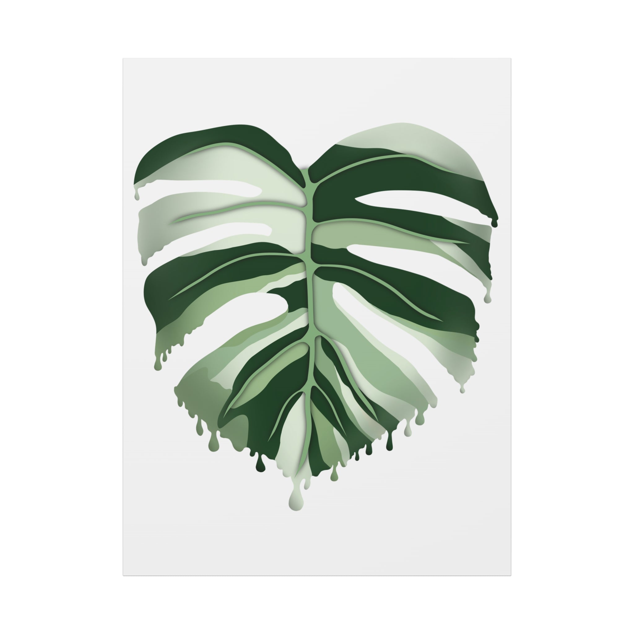 Melting Monstera Albo Canvas Print – Botanical Wall Art - Poppy Natural
