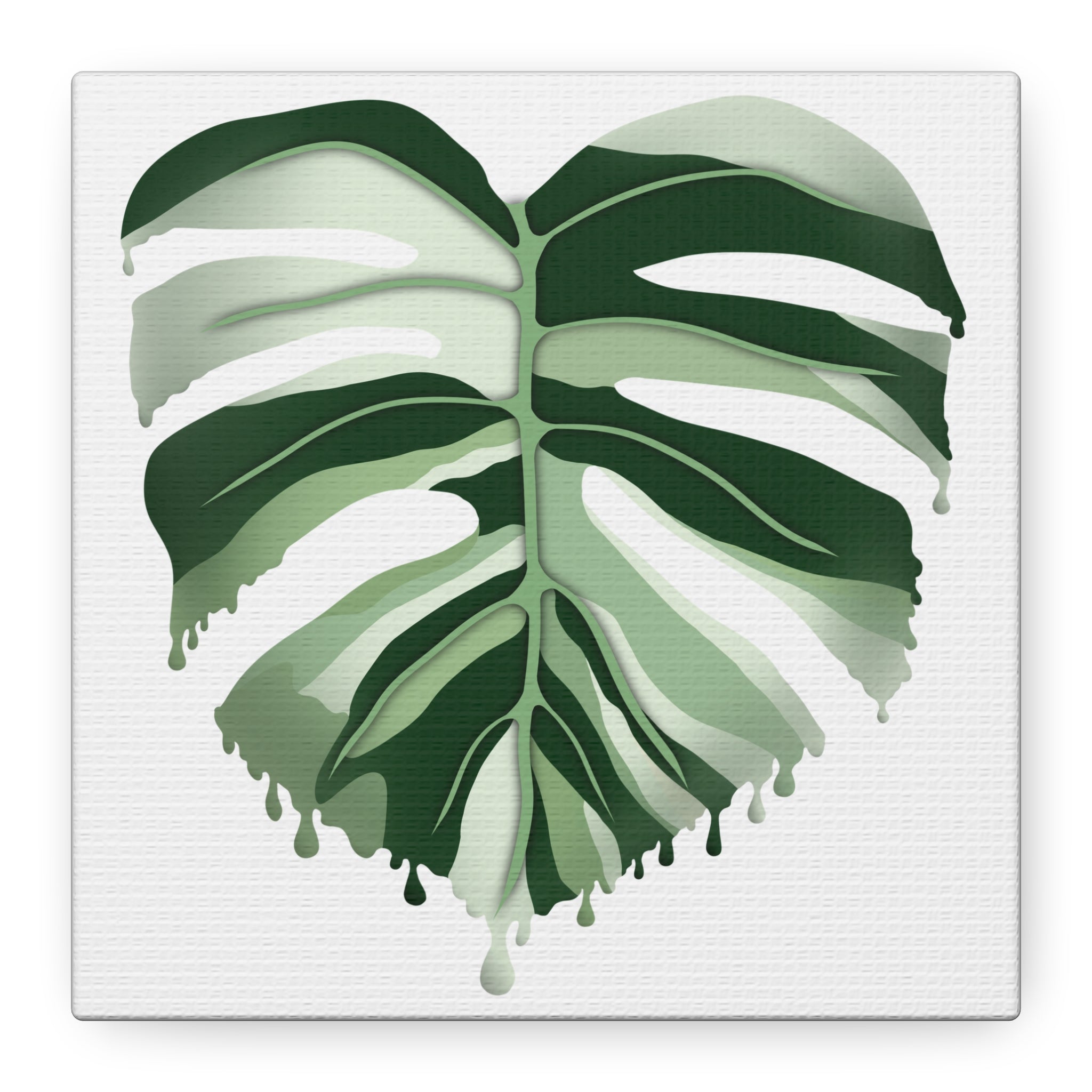 Melting Monstera Albo Canvas Print – Botanical Wall Art - Poppy Natural
