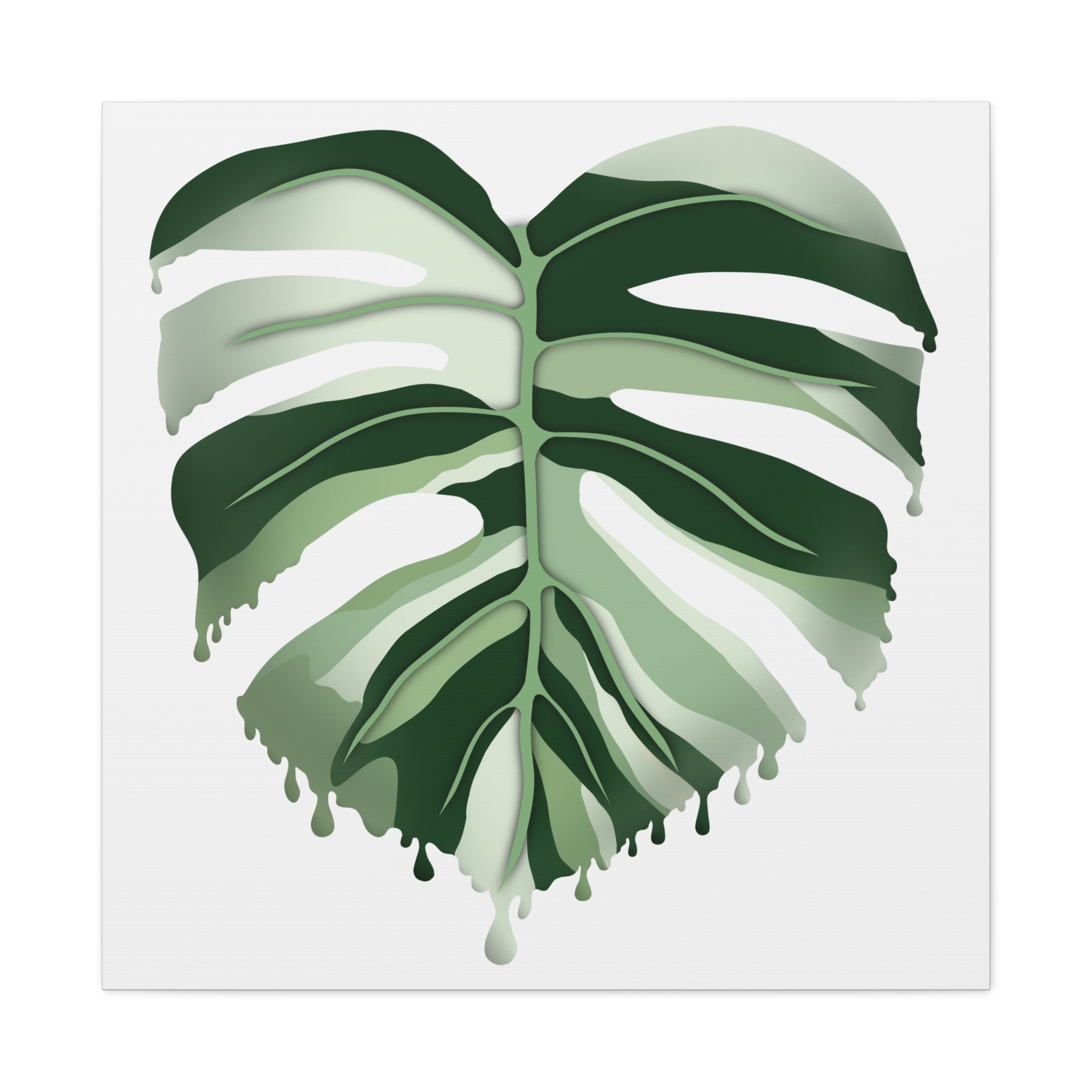 Melting Monstera Albo Canvas Print – Botanical Wall Art - Poppy Natural
