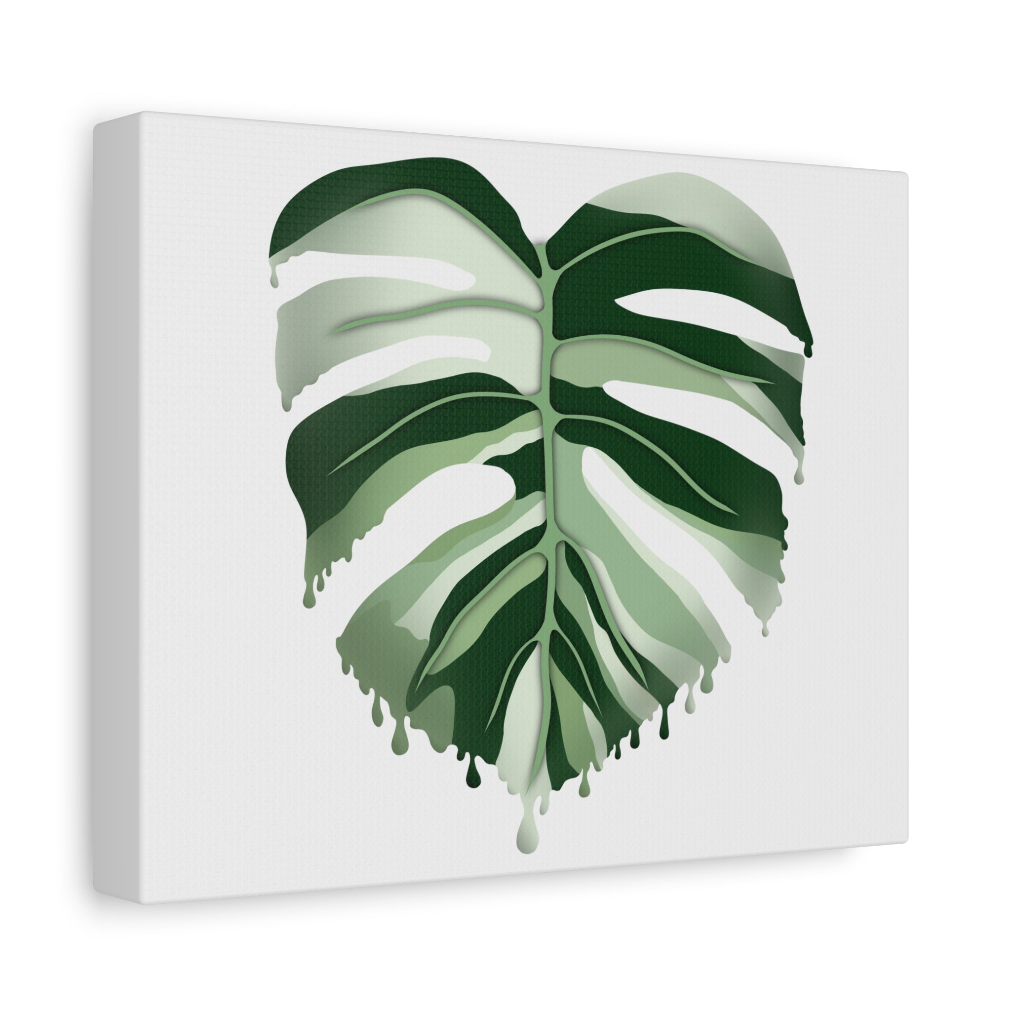 Melting Monstera Albo Canvas Print – Botanical Wall Art - Poppy Natural