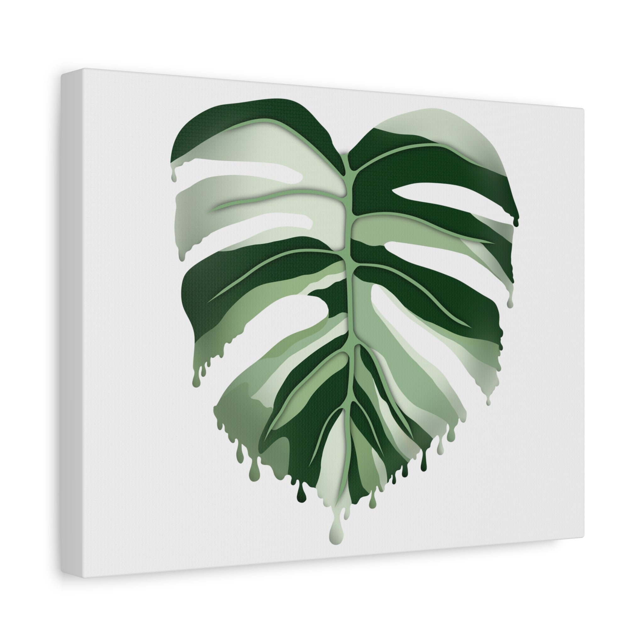 Melting Monstera Albo Canvas Print – Botanical Wall Art - Poppy Natural