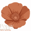 Poppy Natural - Home