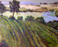 Vineyard Canvas Print