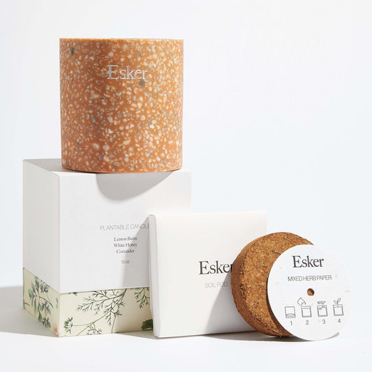 Bloom After Burn Candle