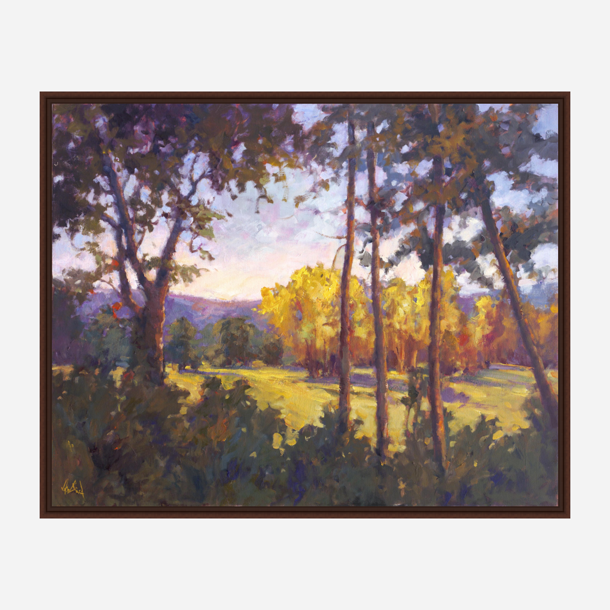 Through the Trees Artist Enhanced Canvas Print