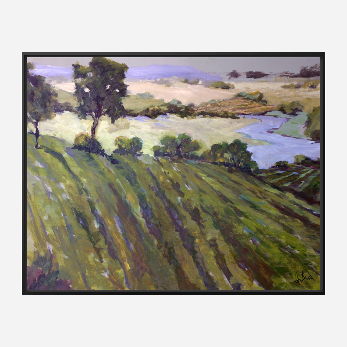 Vineyard Canvas Print