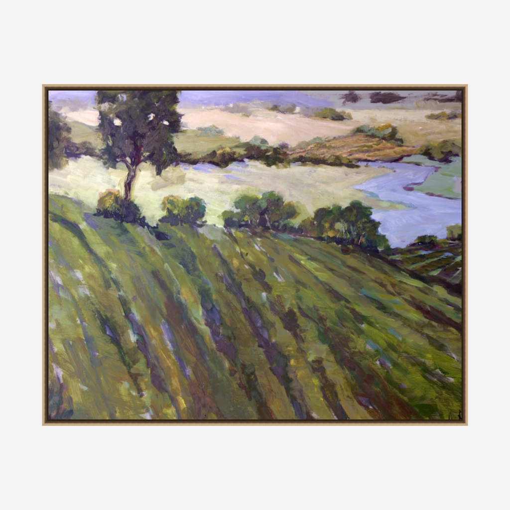 Vineyard Canvas Print