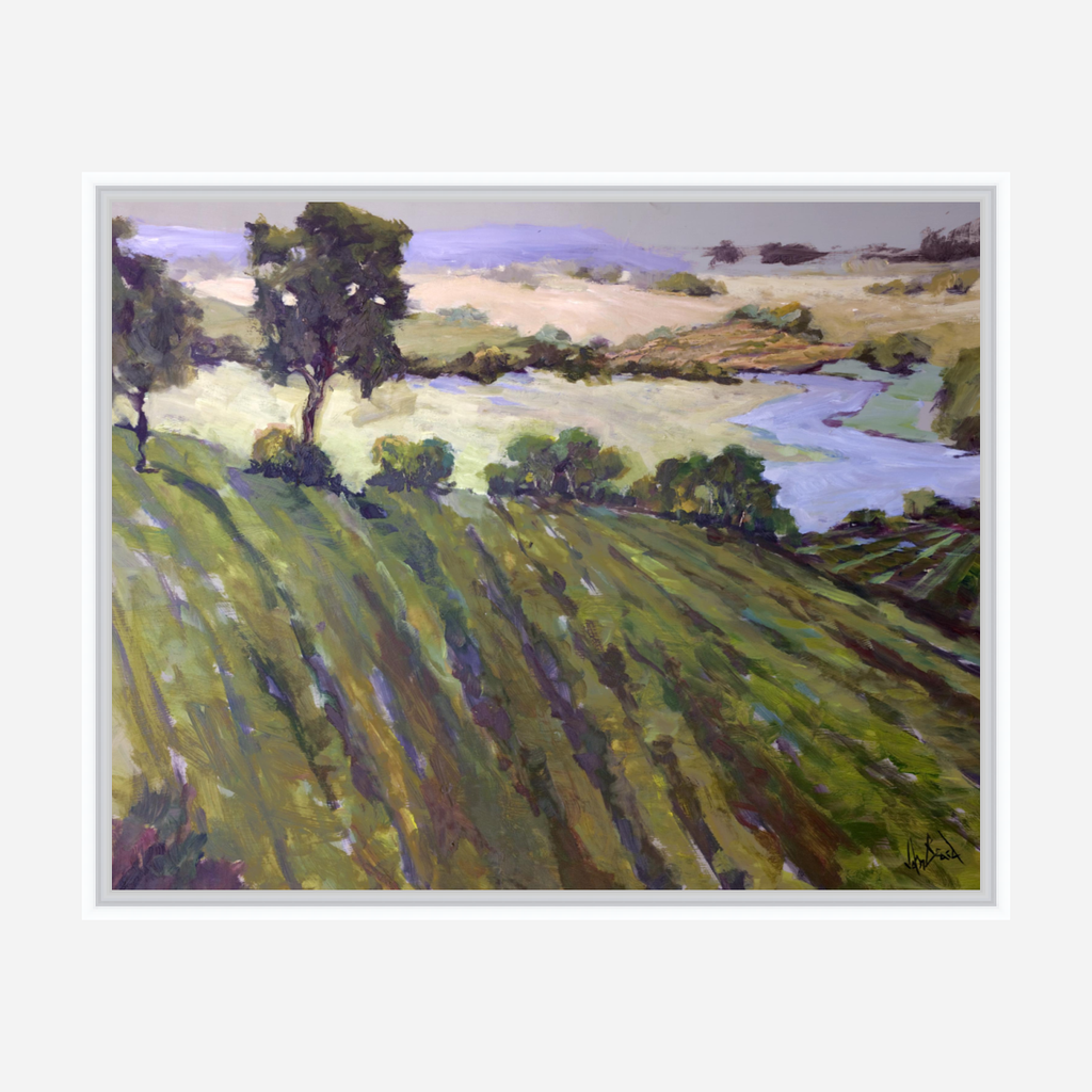 Vineyard Canvas Print