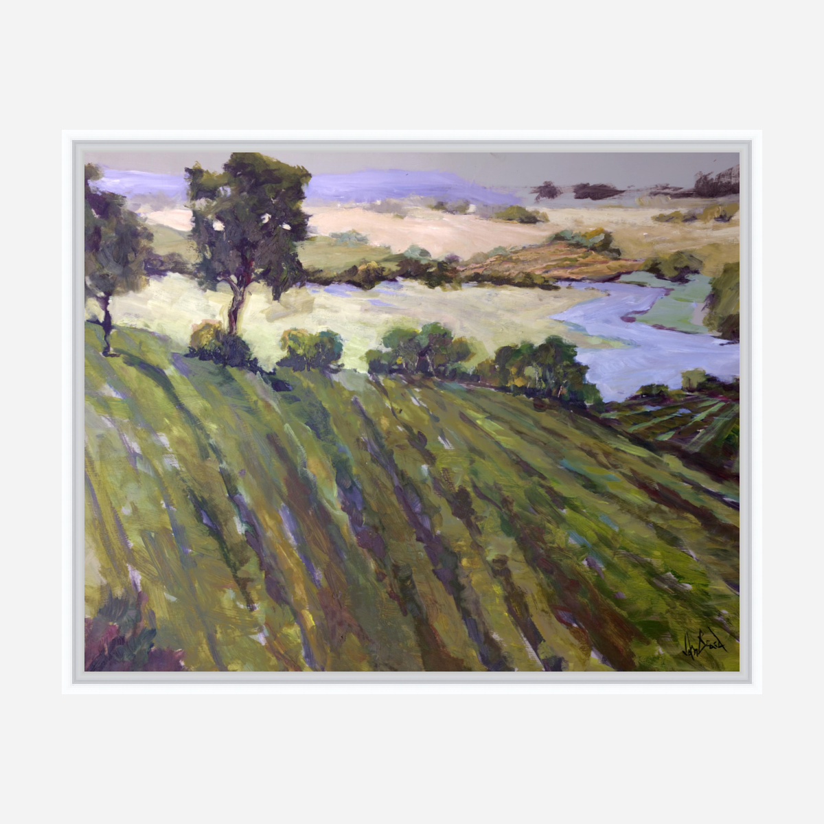 Vineyard Canvas Print